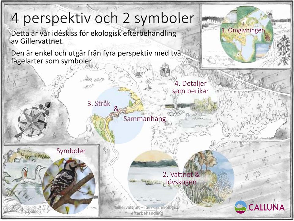 Den är enkel och utgår från fyra perspektiv med två fågelarter som symboler. 1.