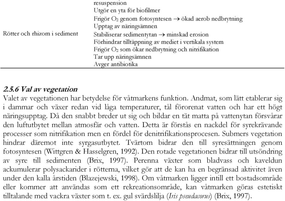 6 Val av vegetation Valet av vegetationen har betydelse för våtmarkens funktion.