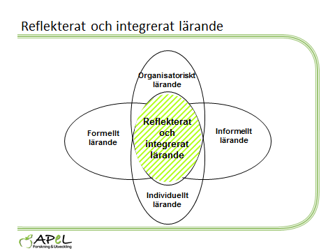 Figur 2: Modell för arbetsplatslärande APeL har i en rad utvecklingsprojekt undersökt hur ett arbetsplatslärande som erbjuder formell utbildning och ett informellt lärande i vardagsarbetet kan