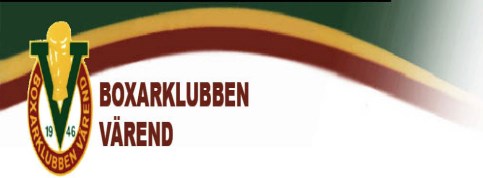 TEAM-HANDIGOLF Glädje - Gemenskap - Engagemang Araby Herrgård Växjö GK Handigolf erbjuder och har som mål att skapa en av Sveriges bästa golfanläggningar för knattar, juniorer, ungdomoch personer med