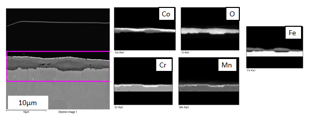 Figur 7: SEM/EDX av tvärsnitt på CO-belagt Sanergy HT efter 500h exponering vid 650 C I Figur 8 visas den resulterande yt -sammansättningen för det Ce/Co - belagda stålet Sanergy HT efter exponering