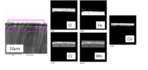 Figur 11: SEM/EDX bild av tvärsnitt på Co -