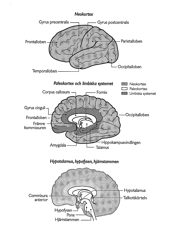 Währborg,