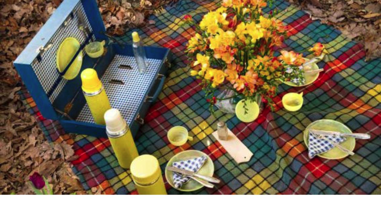 Brott enligt brottsbalken Markägare misshandlade pojkar på picknick Den mysiga