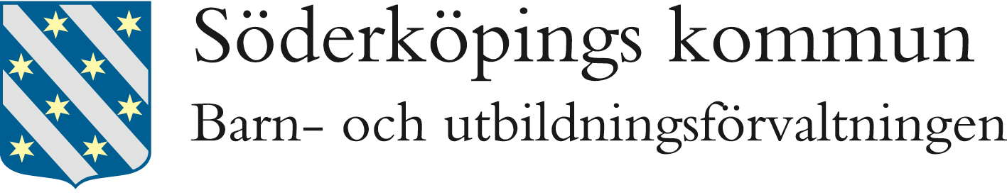 Gymnasiet * Samtal mentor och elev/individuella studieplaner * Individuella vägledningssamtal * Info om olika utbildningsvägar * Företagsinformation/studiebesök * Ung Företagsamhet * Övningsföretag *