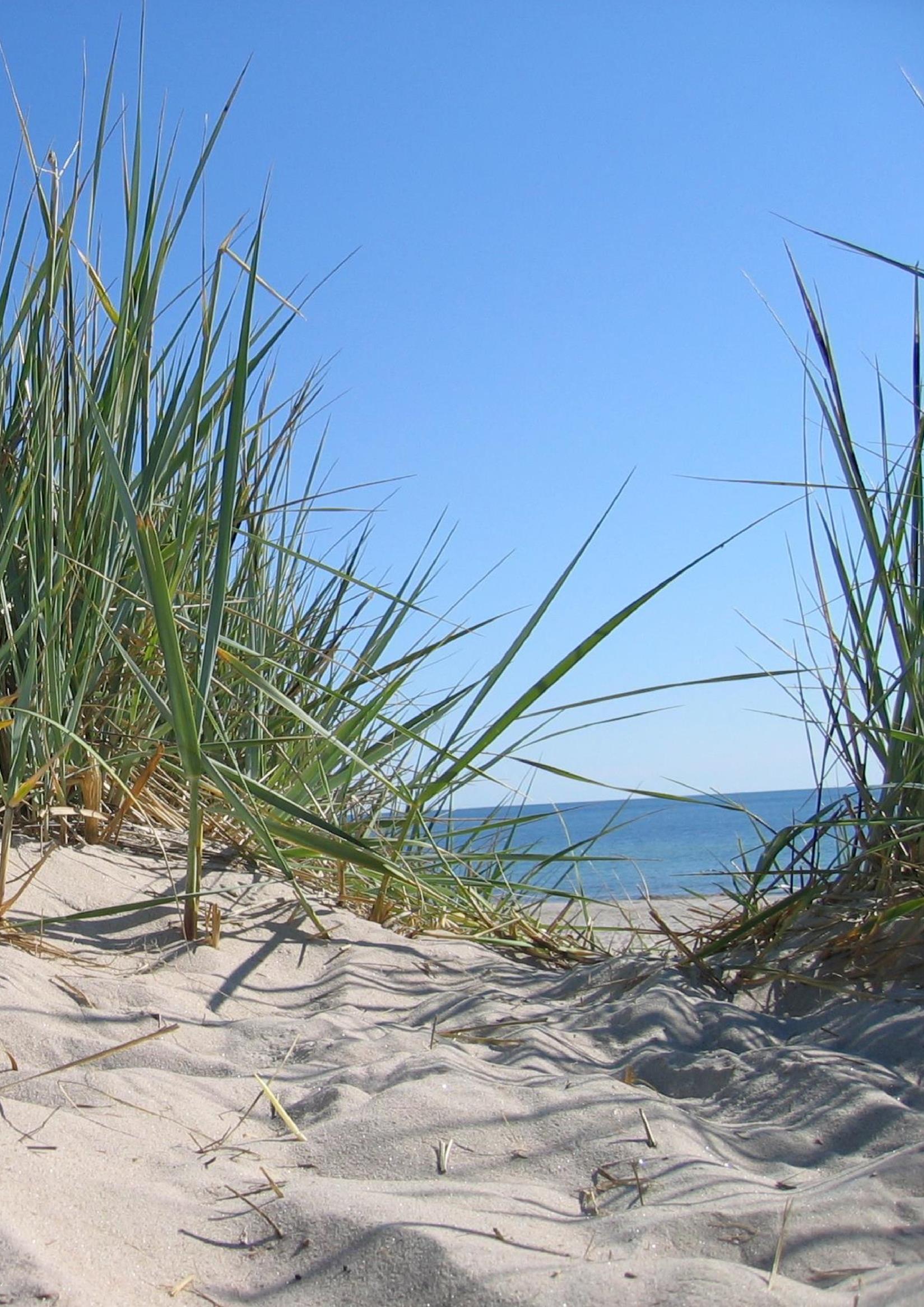 Att söka sommarjobb På