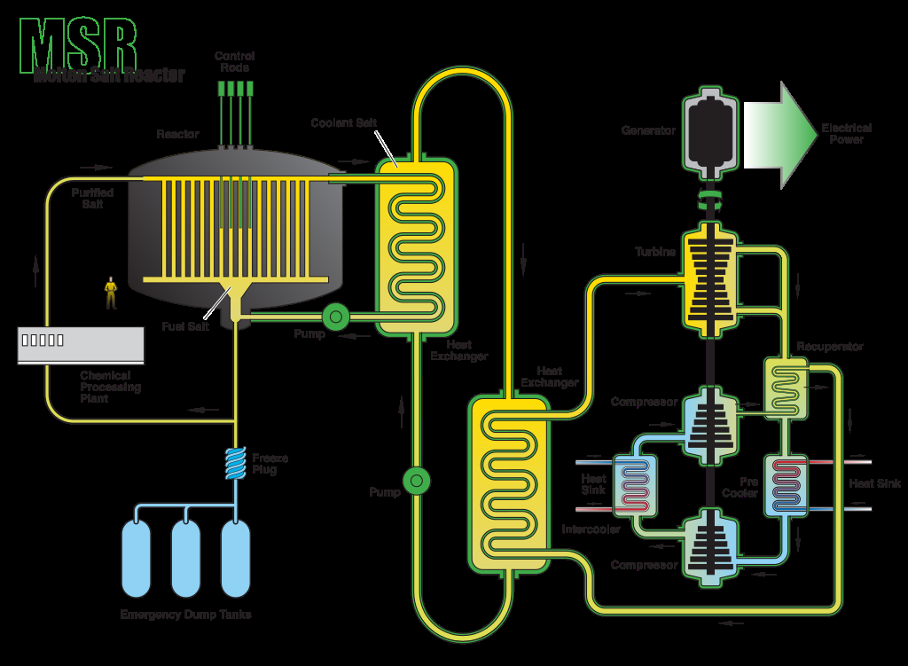 Figur 4: Visar en schematisk beskrivning av hur en MSR - Molten Salt Reactor, fungerar. En viktig detalj där en MSR avsevärt skiljer sig från en LWR är fryspluggen i botten på reaktorn.