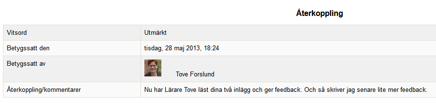 2.3 Funktionen Inlämningsuppgift för dagbok Moodle 3.0, Forslund, 31.5.