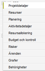 Genom att klicka på innehållsmenyn för ett projekt öppnas vald flik för det projektet.