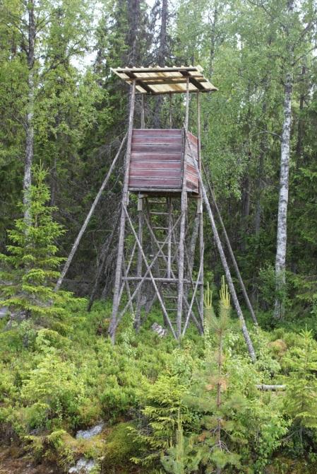 Turism och rekreation Nuläge Begränsat med kommersiell verksamhet/turism i närområdet Friluftsliv bestående av jakt, skoteråkning samt bär-och svampplockning Besöksmålet Nävernäsans brandtorn Måttlig