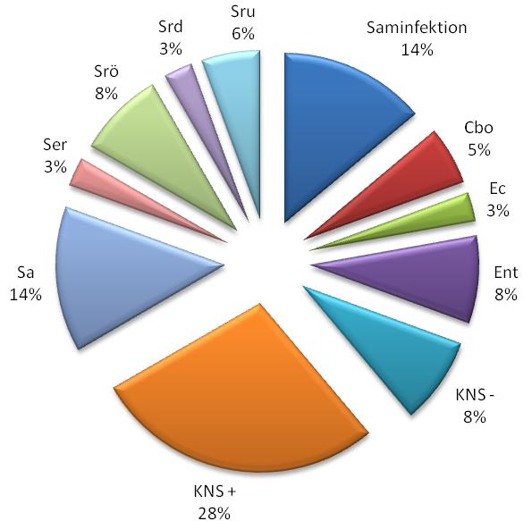 Figur 7. Fördelningen av olika bakteriella diagnoser hos kor som 5 veckor efter behandling fått växt av annan bakterie än den som orsakat den akuta kliniska mastiten. (N=36).