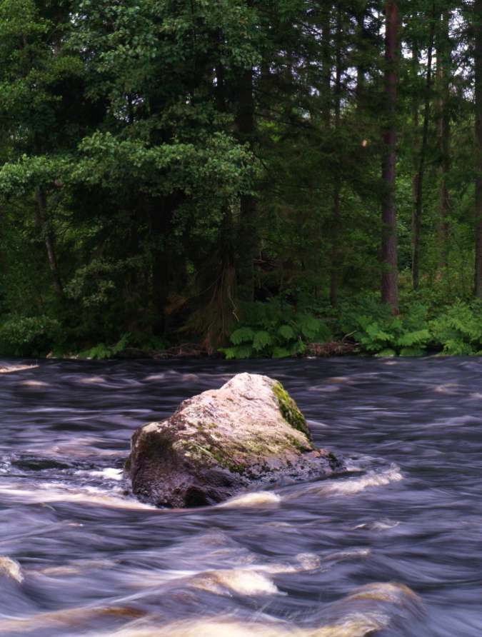 Block och sten som åtgärd vid restaurering i vattendrag - exempel från Helge å