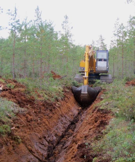 Skogsdikning är