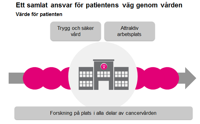 Regionens styrkor Regionens cancersjukvård har många styrkor med tillgång till både spjutspetskompetens och bredd.