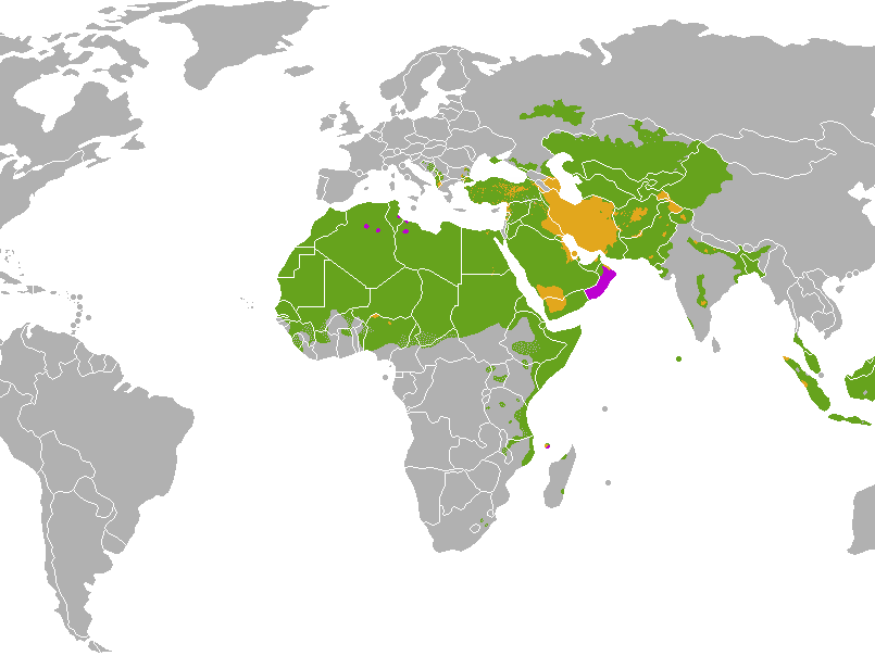 20 Sunni (ca 87%) och Shia (ca 13%) Shiiter anser Muhammed utsåg sin kusin och svärson Ali till sin