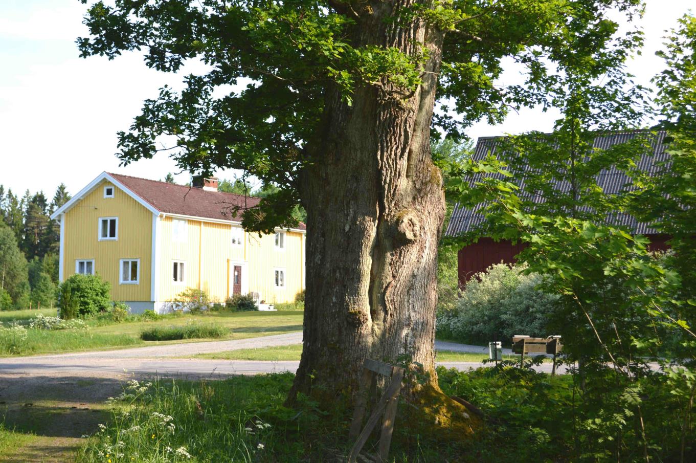 Om Skog & Lantbruk Skog & Lantbruk är ett rådgivningsföretag som arbetar med följande tjänster inom jord och skog: - Fastighetsförmedling - Generationsskifte -