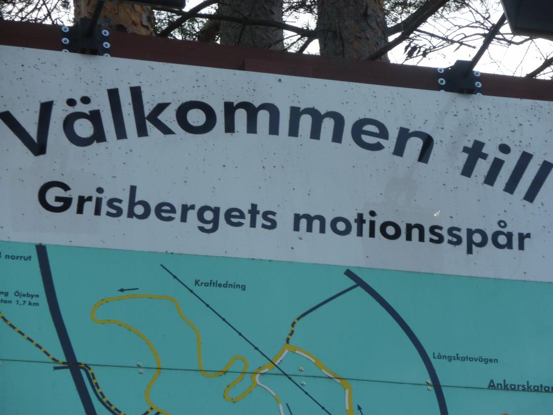 Det har kommit fram vid samtal med medborgare att man ibland kan känna viss otrygghet i området och främst då på kvällstid.