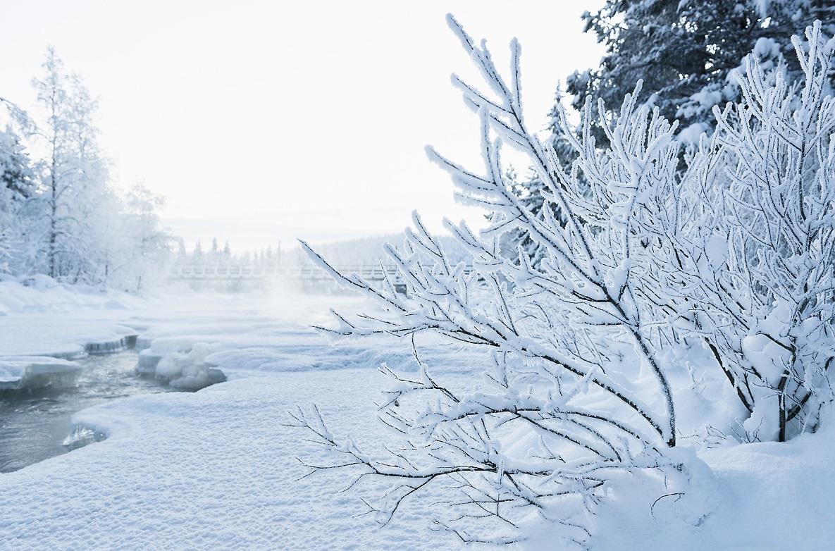 Naturvårdsverket Swedish Environmental