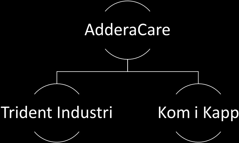 ADDERACARE Koncernstruktur Moderbolag i företagsgruppen AdderaCare är AdderaCare AB. Företagsgruppen har två dotterbolag vilka Moderbolaget till 100 % äger.