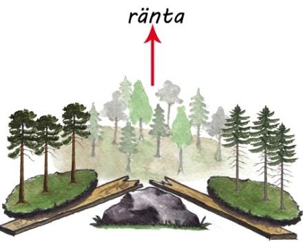 Rapportguiden Avverkningsprioritet Att avverka eller inte avverka? Ja, det har varit den "eviga frågan" i det lönsamma skogsbruket (driftnetto - banklån - investering ) Prioritera avverkningar!