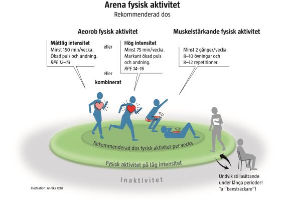 Rekommendationer Fitness (ACSM, 1978,1998) Dos-respons hälsovinst Hälsofrämjande fysisk aktivitet (Pate R, JAMA, 1995) Hälsofrämjande och/eller fitness (Haskell et al, MSSE 2007) USDHHS