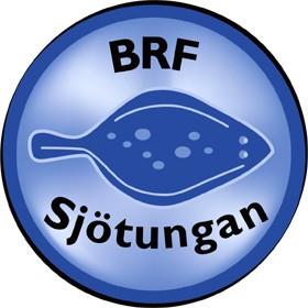 STADGAR FÖR HSB BOSTADSRÄTTSFÖRENING SJÖTUNGAN I TYRESÖ Antagna vid extrastämma 24 November 2016 och ordinarie stämma 17 maj 2017 Anpassningar av dessa