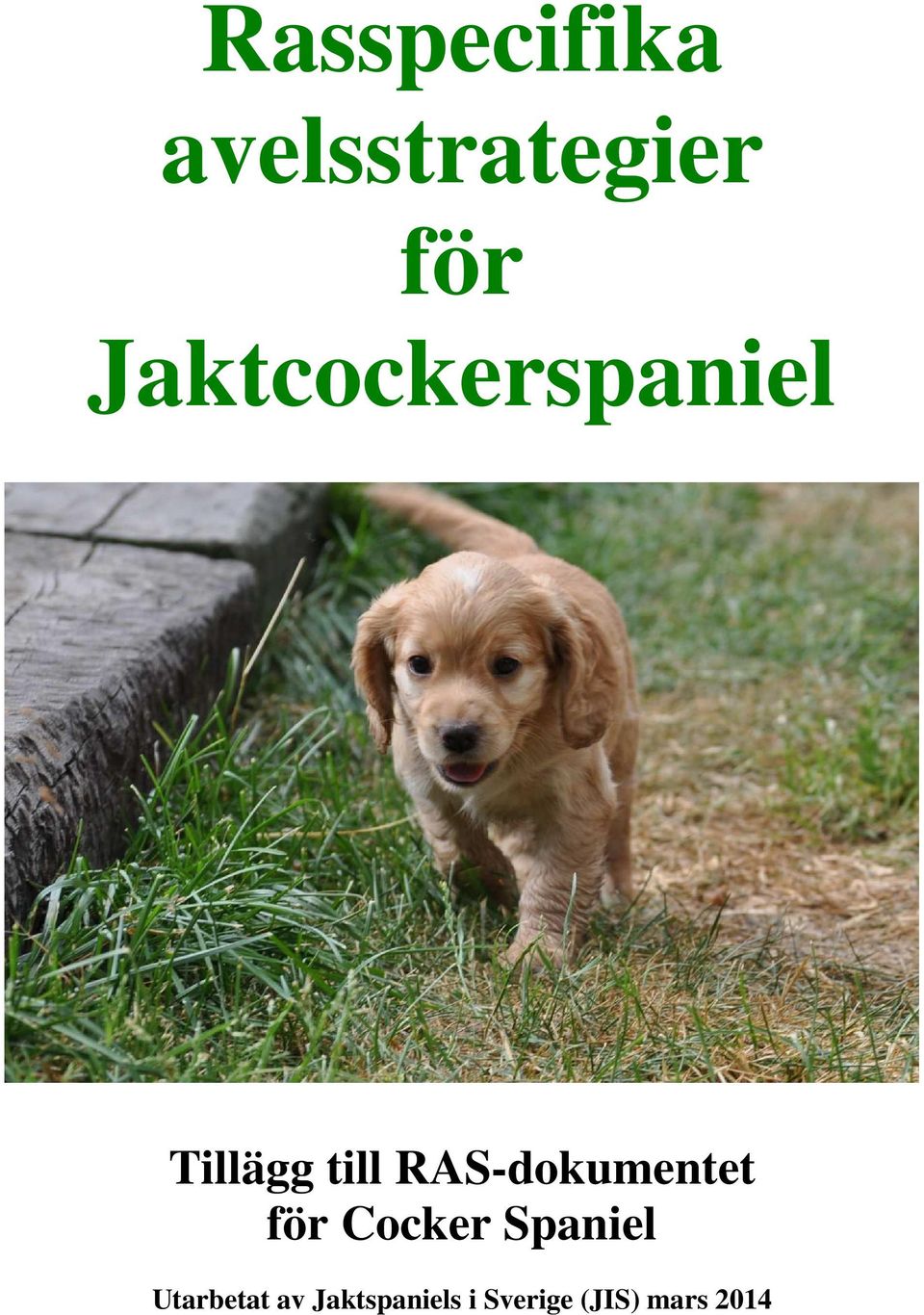 RAS-dokumentet för Cocker Spaniel