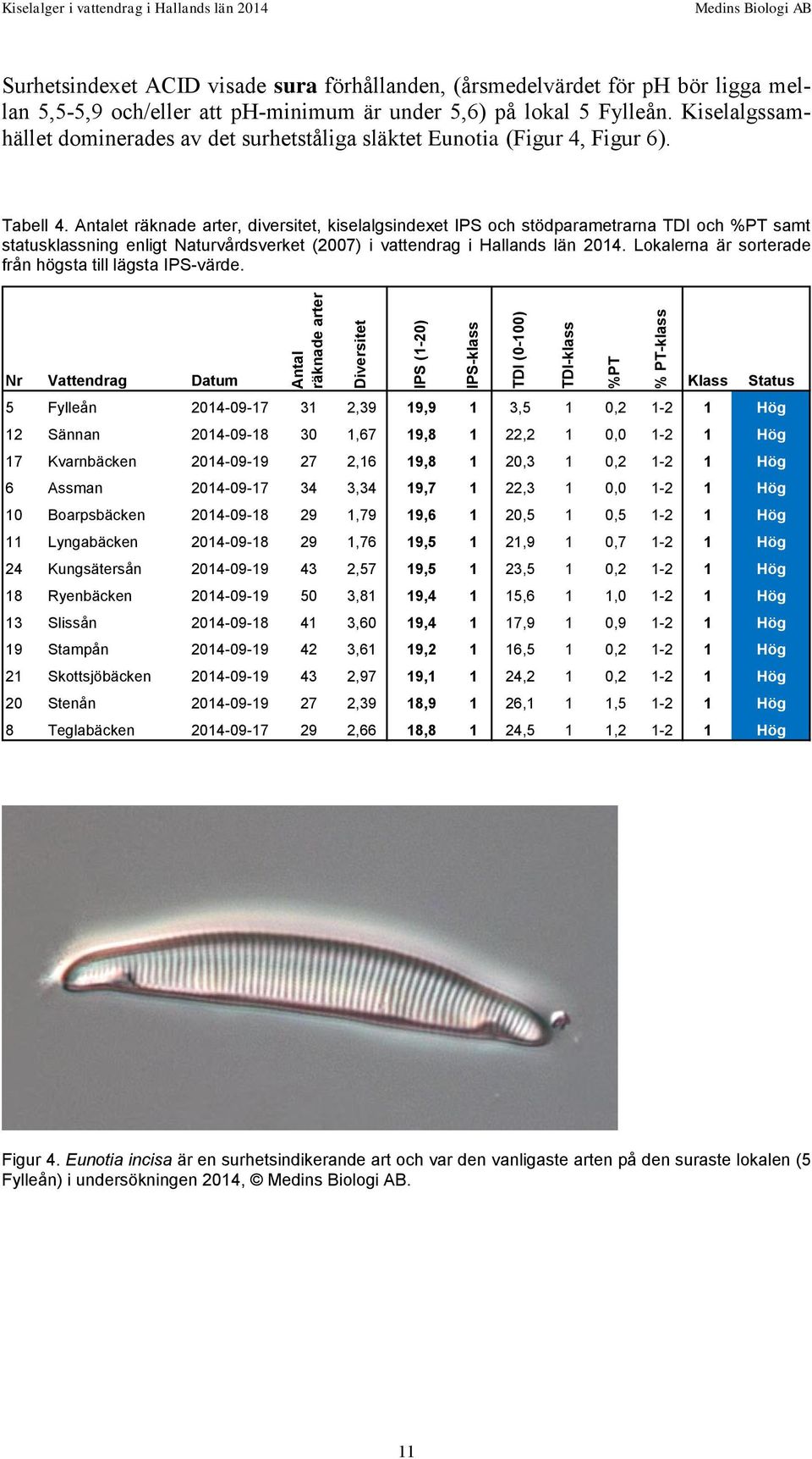 Antalet räknade arter, diversitet, kiselalgsindexet IPS och stödparametrarna TDI och %PT samt statusklassning enligt Naturvårdsverket (2007) i vattendrag i Hallands län 2014.