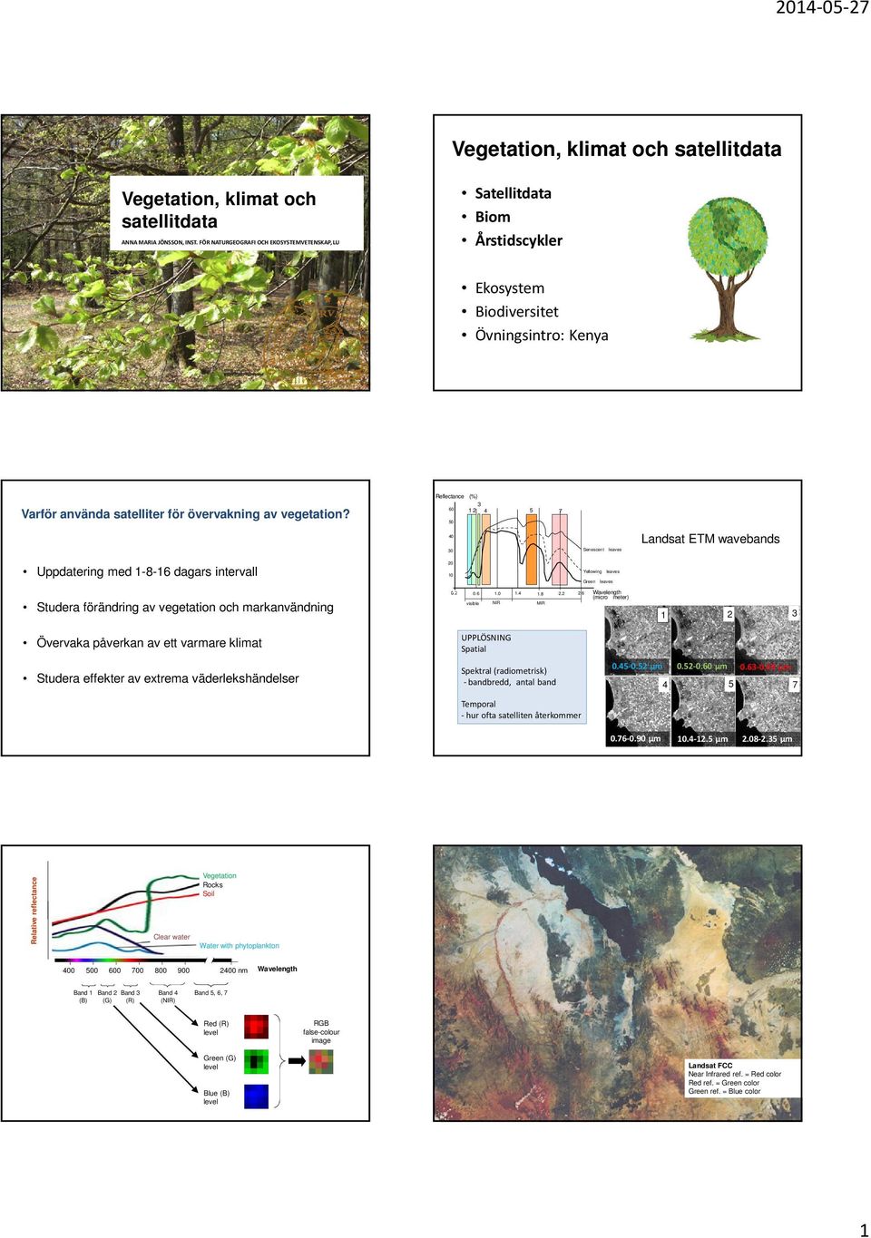 60 50 3 1 2 4 5 7 40 Landsat ETM wavebands 30 Senescent leaves Uppdatering med 1-8-16 dagars intervall 20 10 Yellowing leaves Green leaves Studera förändring av vegetation och markanvändning 0.6 1.