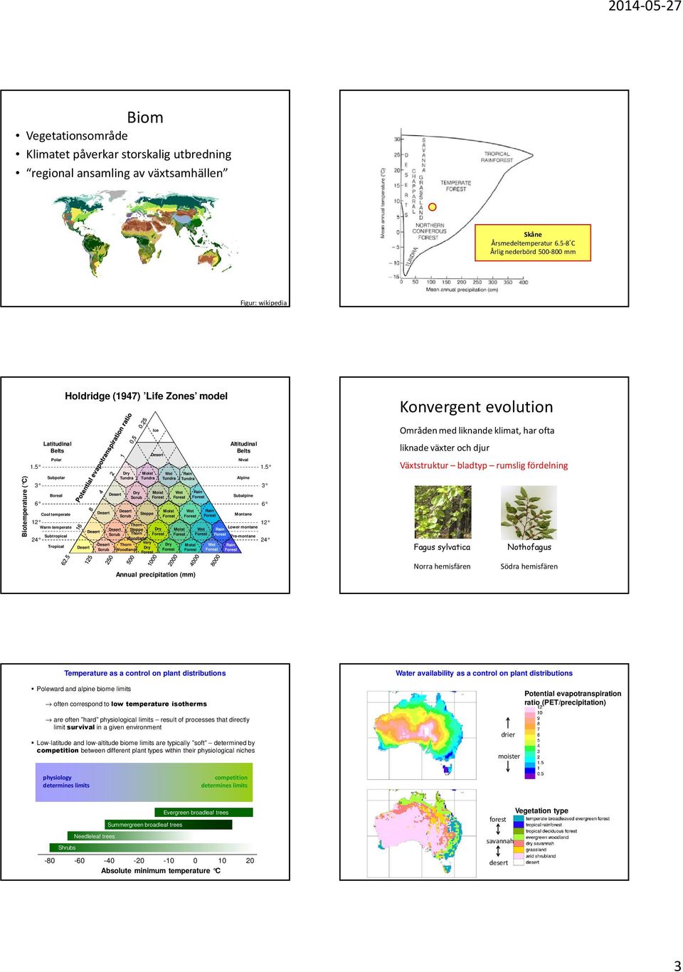 Subalpine 1.