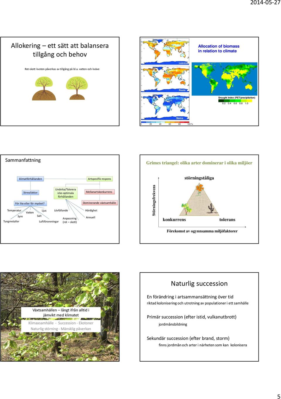 0 Stems 0 20 40 60 80 100 % Sammanfattning Grimes triangel: olika arter dominerar i olika miljöer klimatförhållanden Artspecifik respons störningståliga Stressfaktor För lite ellerförmycket?