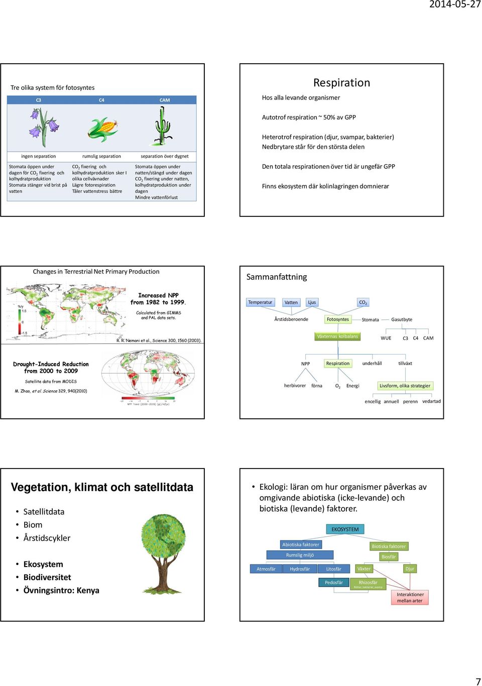 Stomata öppen under natten/stängd under dagen CO 2 fixeringunder natten, kolhydratproduktion under dagen Mindre vattenförlust Heterotrof respiration (djur, svampar, bakterier) Nedbrytare står för den