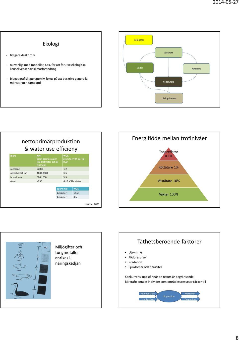 nettoprimärproduktion & water use efficieny NPP gram biomassaper kvadratmeter och år (torrvikt) regnskog >2000 1-2 nemoboreal zon 1000-2000 3-5 boreal zon 500-1000 3-5 WUE gramtorrviktper kg H 2 O