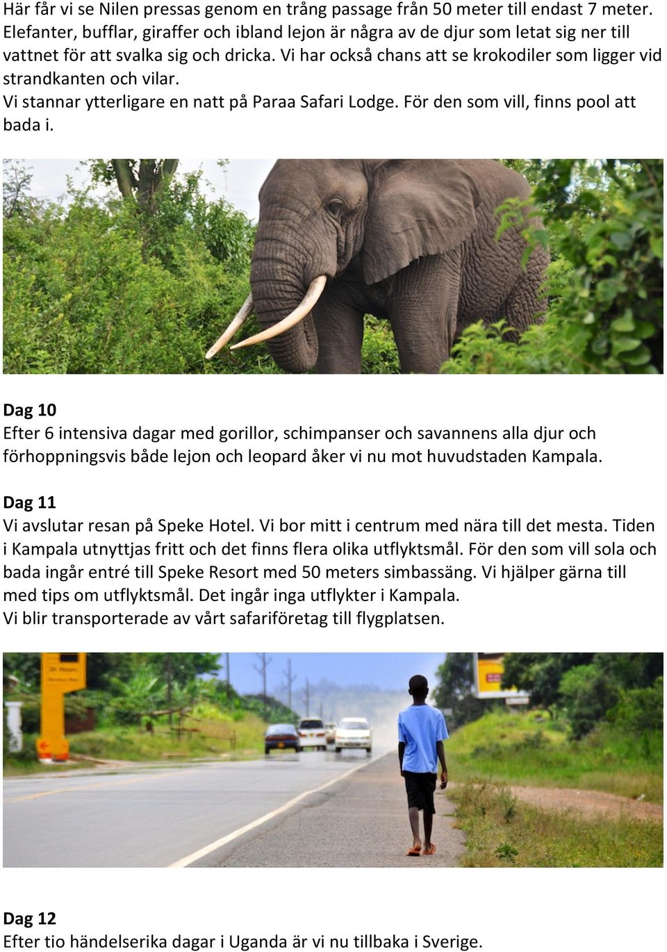 Vi har också chans att se krokodiler som ligger vid strandkanten och vilar. Vi stannar ytterligare en natt på Paraa Safari Lodge. För den som vill, finns pool att bada i.