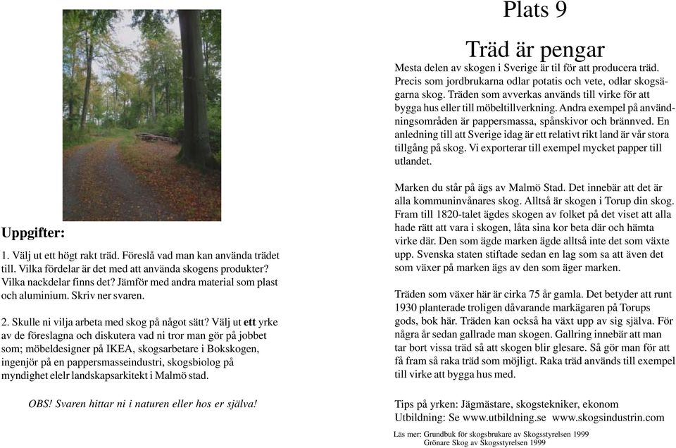 En anledning till att Sverige idag är ett relativt rikt land är vår stora tillgång på skog. Vi exporterar till exempel mycket papper till utlandet. 1. Välj ut ett högt rakt träd.