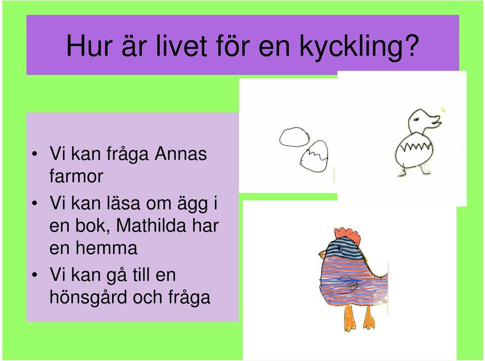 läsa om ägg i en bok, Mathilda har