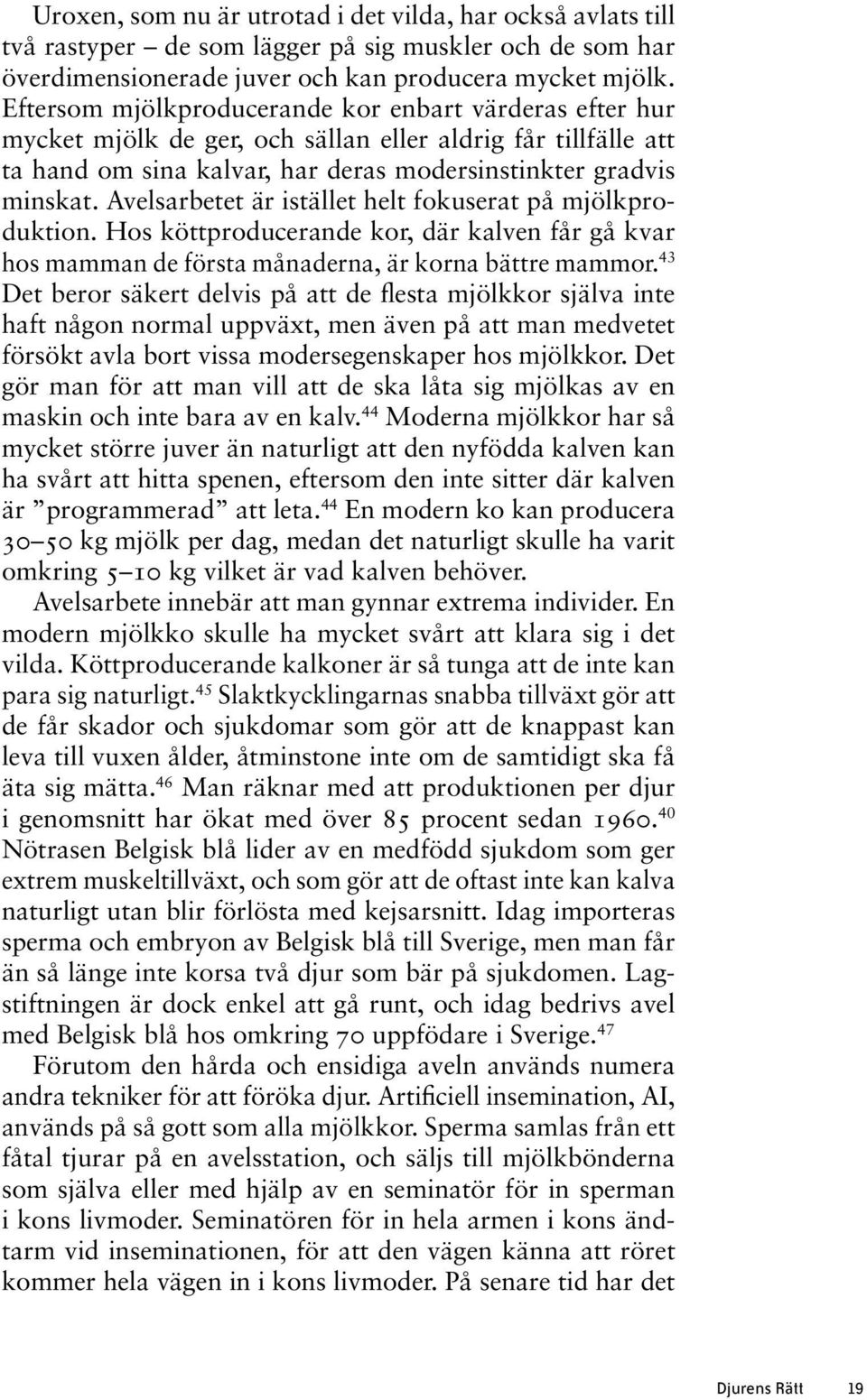 Avelsarbetet är istället helt fokuserat på mjölkproduktion. Hos köttproducerande kor, där kalven får gå kvar hos mamman de första månaderna, är korna bättre mammor.