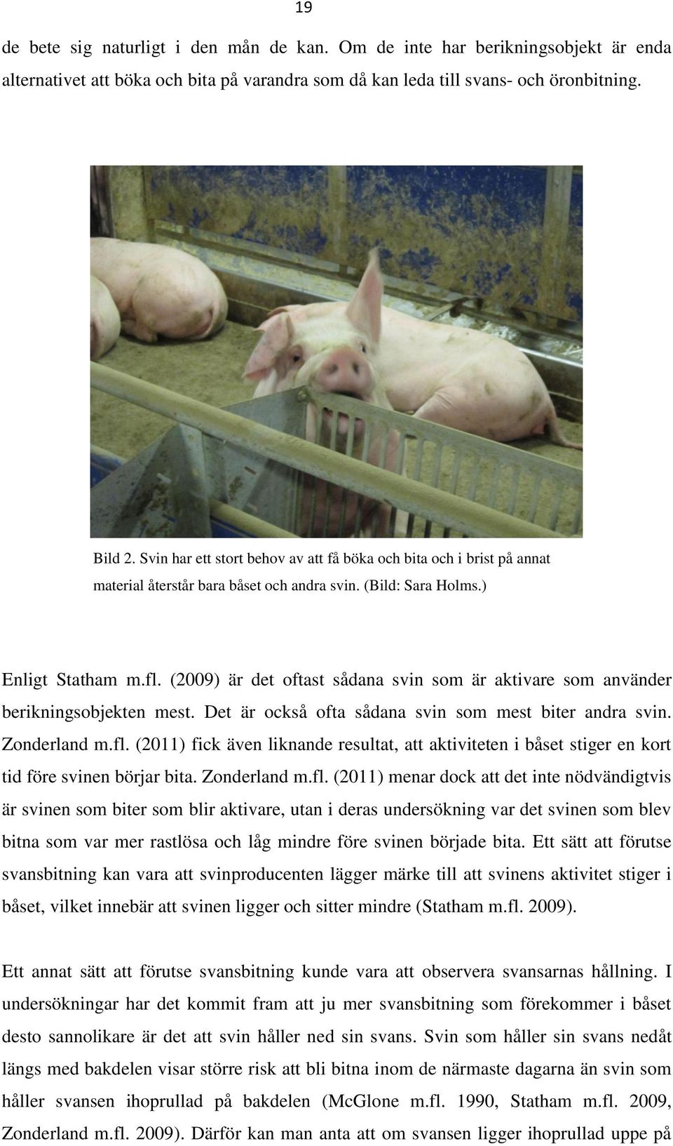 (2009) är det oftast sådana svin som är aktivare som använder berikningsobjekten mest. Det är också ofta sådana svin som mest biter andra svin. Zonderland m.fl.