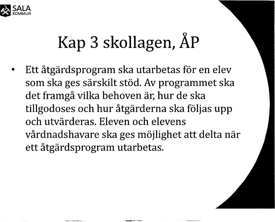 Av prgrammet ska det framgå vilka behven är, hur de ska tillgdses ch hur