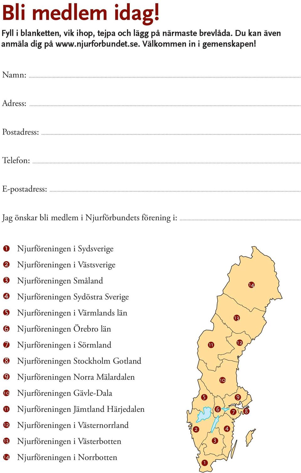 Småland 4 Njurföreningen Sydöstra Sverige 5 Njurföreningen i Värmlands län 6 Njurföreningen Örebro län 7 Njurföreningen i Sörmland 8 Njurföreningen Stockholm Gotland 9 Njurföreningen