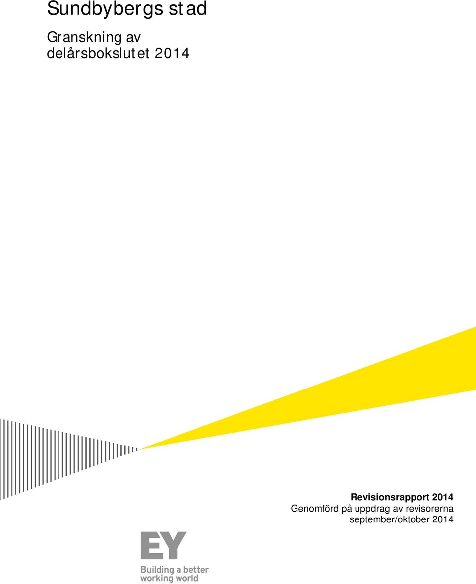 Revisionsrapport 2014 Genomförd