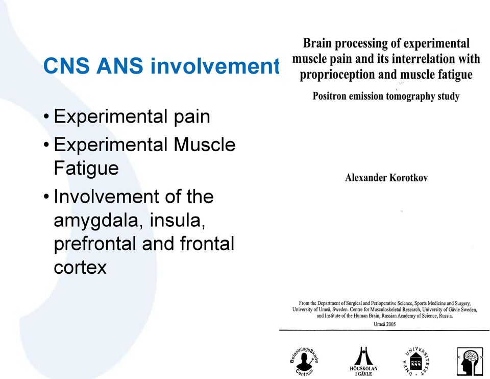 Involvement of the amygdala,