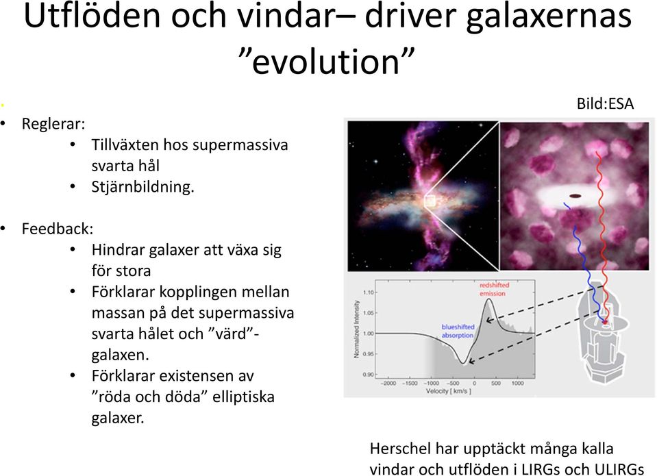 Feedback: Hindrar galaxer att växa sig för stora Förklarar kopplingen mellan massan på det