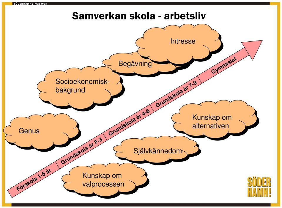 Genus Intresse Begåvning Socioekonomiskbakgrund