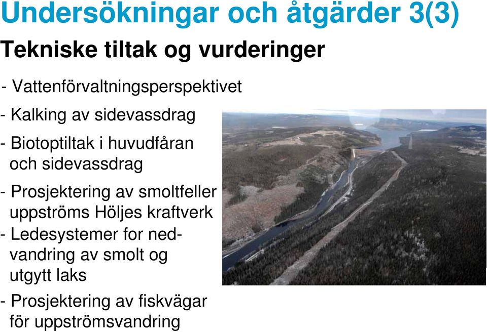 huvudfåran och sidevassdrag - Prosjektering av smoltfeller uppströms Höljes