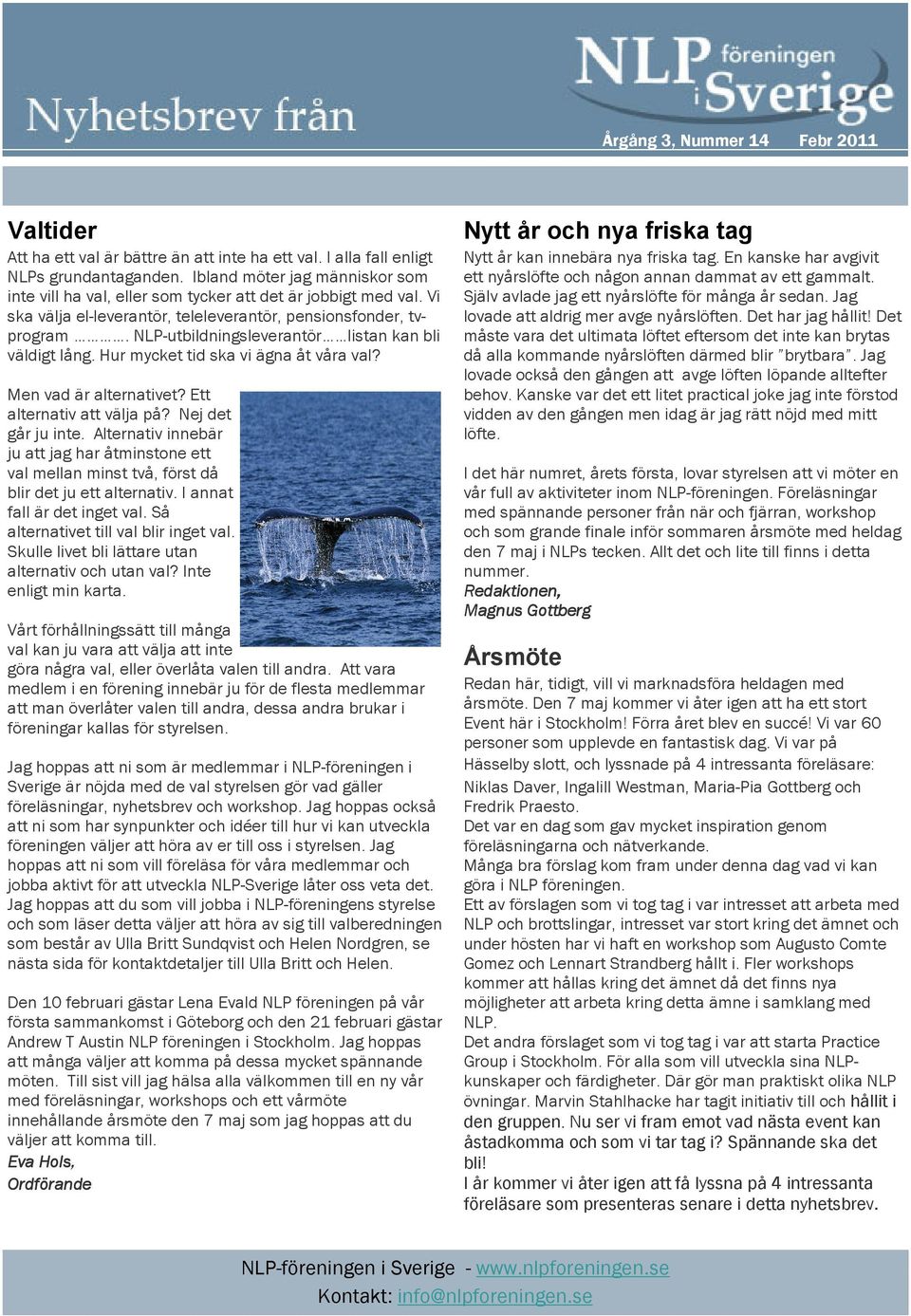 Ett alternativ att välja på? Nej det går ju inte. Alternativ innebär ju att jag har åtminstone ett val mellan minst två, först då blir det ju ett alternativ. I annat fall är det inget val.