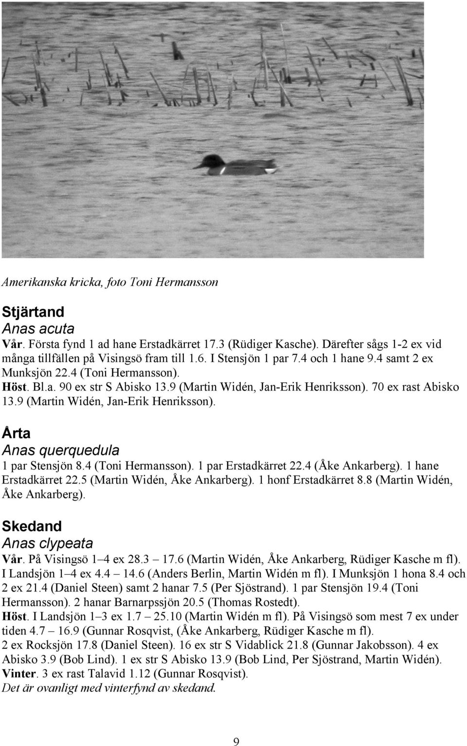 9 (Martin Widén, Jan-Erik Henriksson). Årta Anas querquedula 1 par Stensjön 8.4 (Toni Hermansson). 1 par Erstadkärret 22.4 (Åke Ankarberg). 1 hane Erstadkärret 22.5 (Martin Widén, Åke Ankarberg).