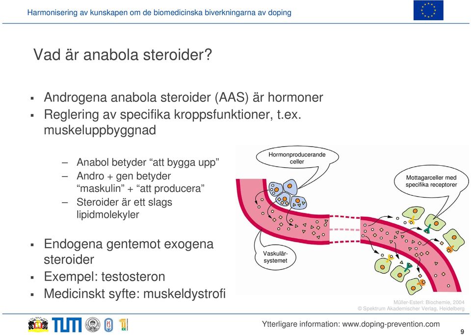 lipidmolekyler Hormonproducerande celler Mottagarceller med specifika receptorer Endogena gentemot exogena steroider