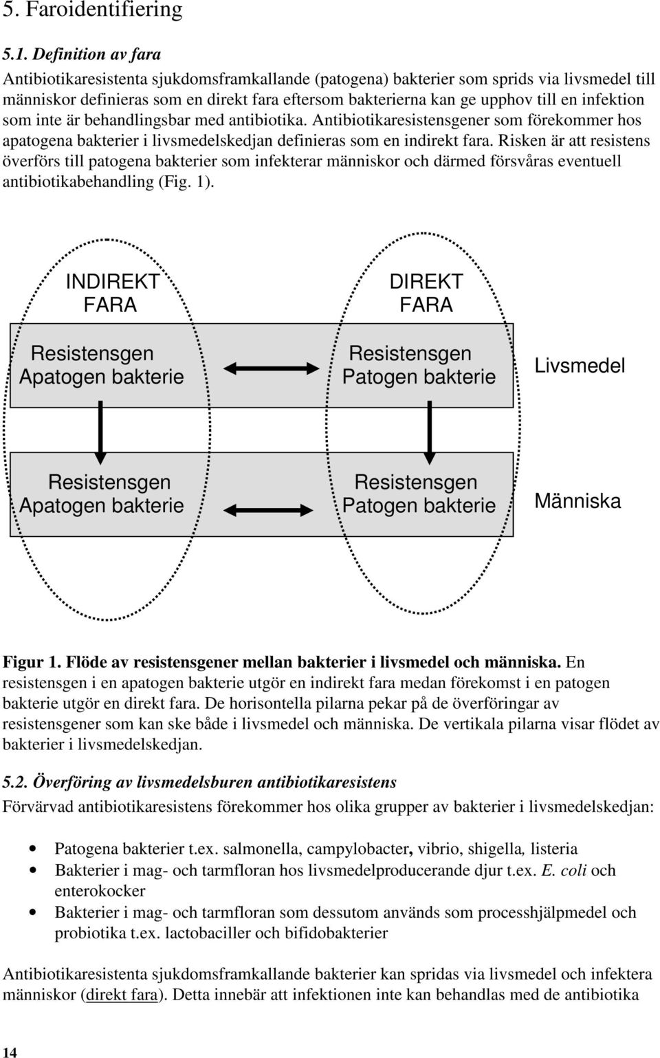 infektion som inte är behandlingsbar med antibiotika. Antibiotikaresistensgener som förekommer hos apatogena bakterier i livsmedelskedjan definieras som en indirekt fara.