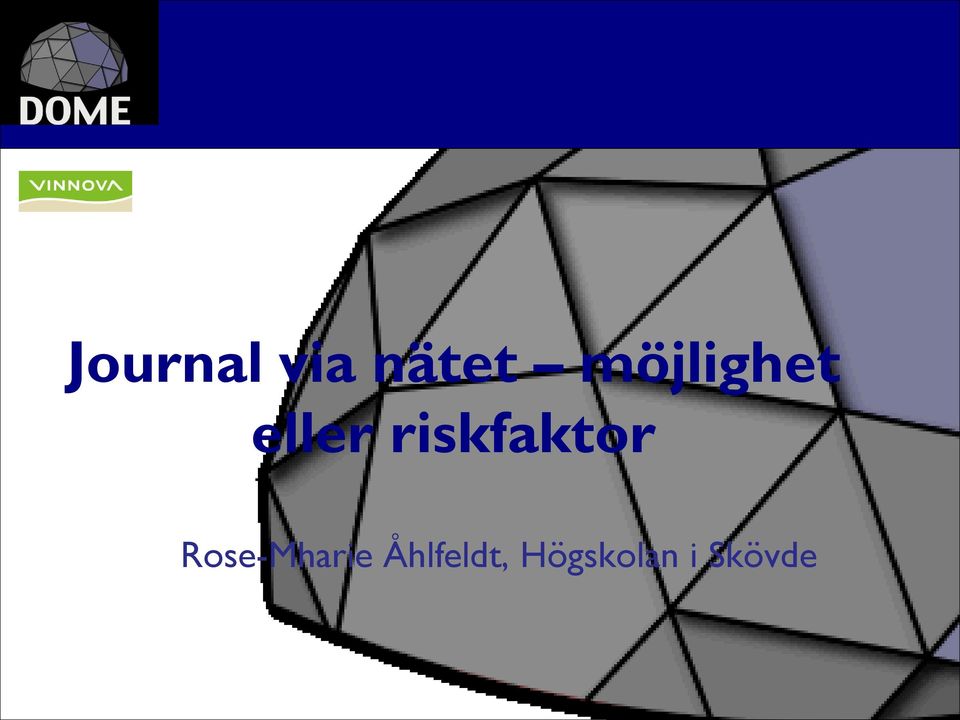 riskfaktor